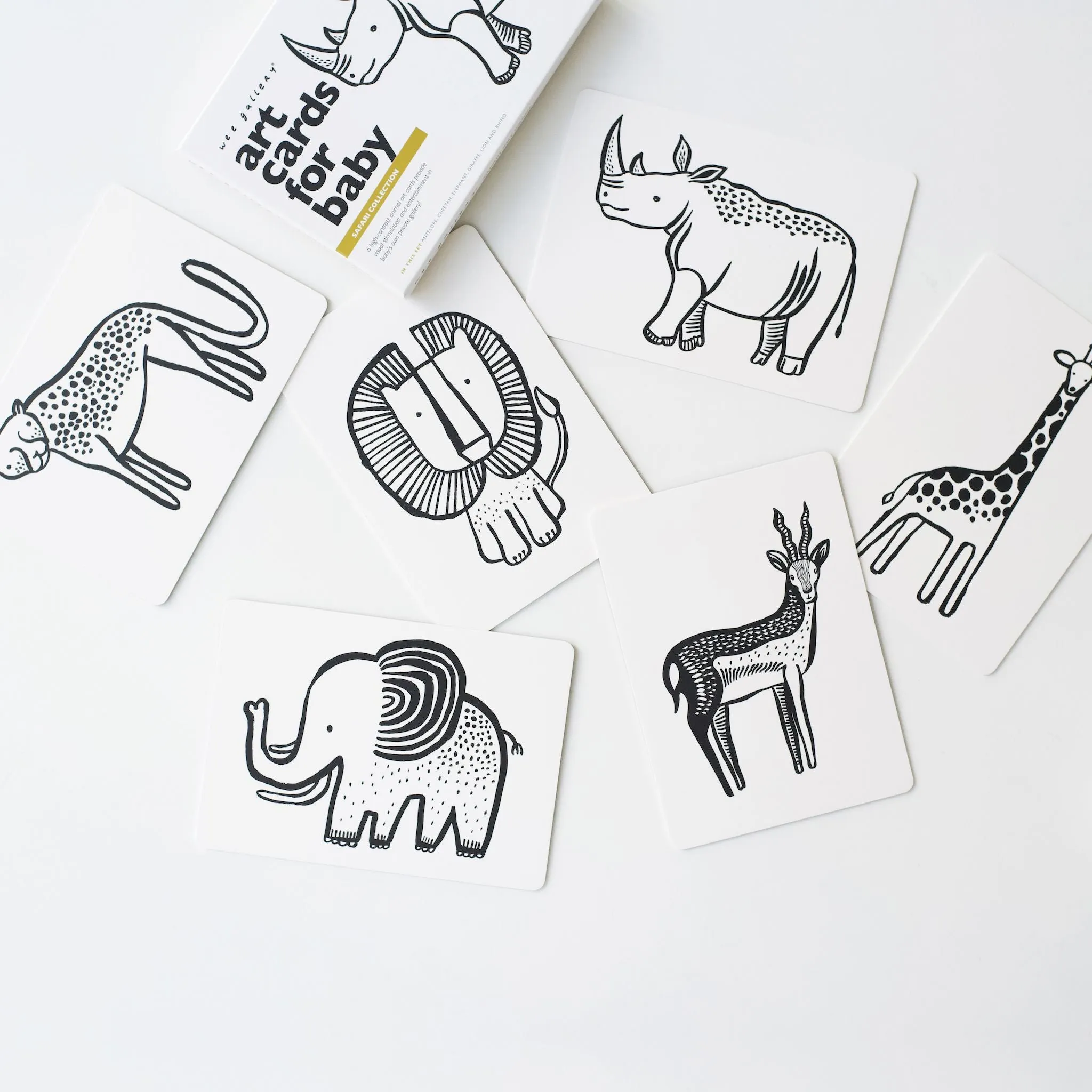Wee Gallery Jungle Art Cards for Baby