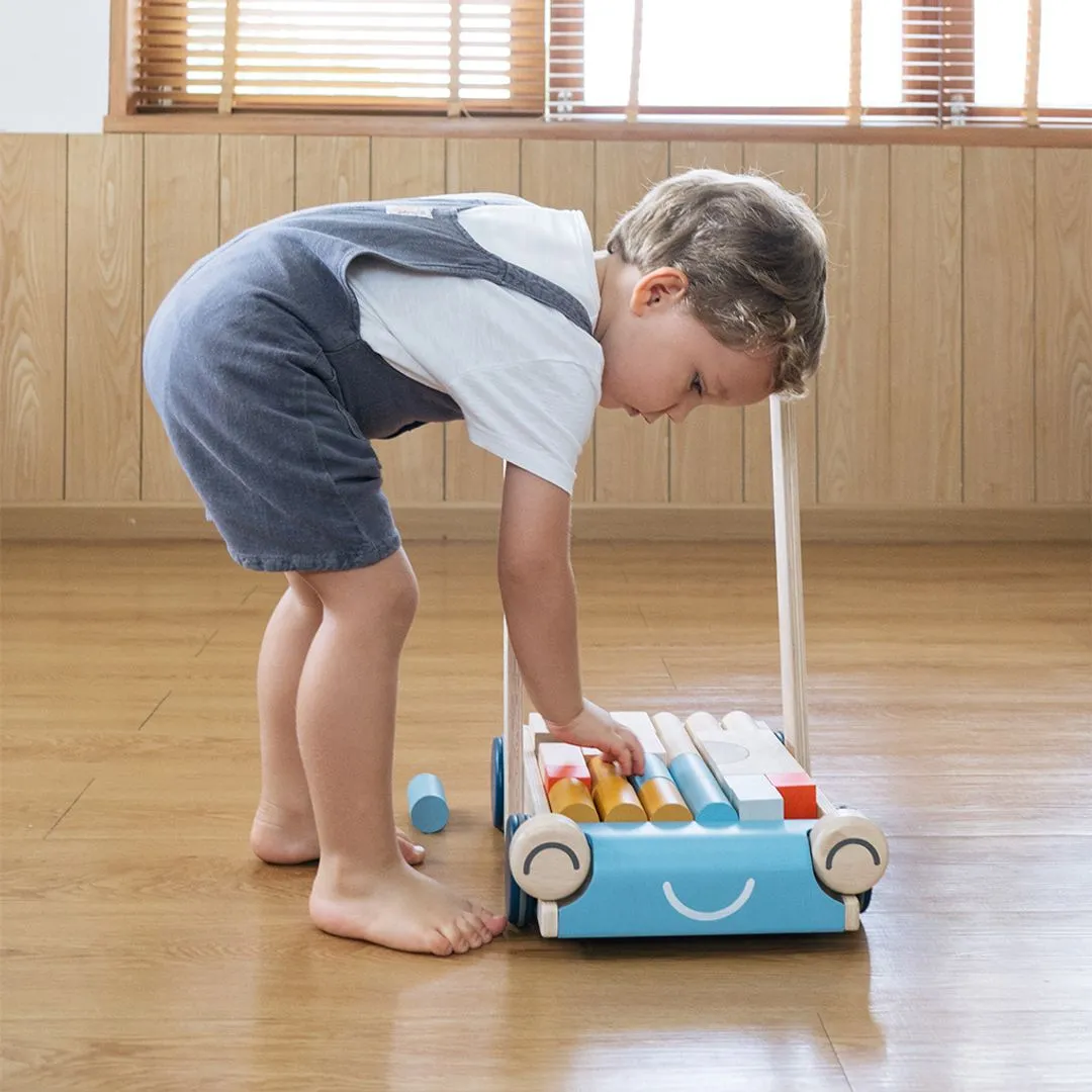 Wooden Baby Walker & Block Set