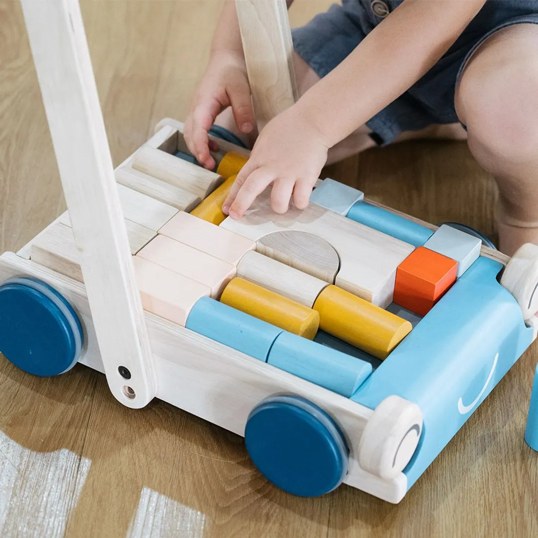 Wooden Baby Walker & Block Set