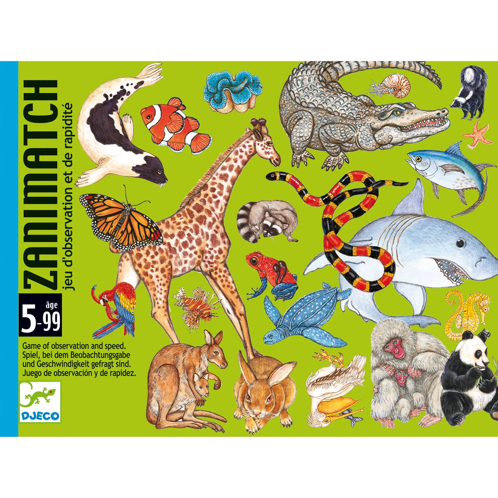 Zanimatch Family Game